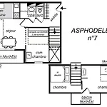 Asphodeles 美贝尔