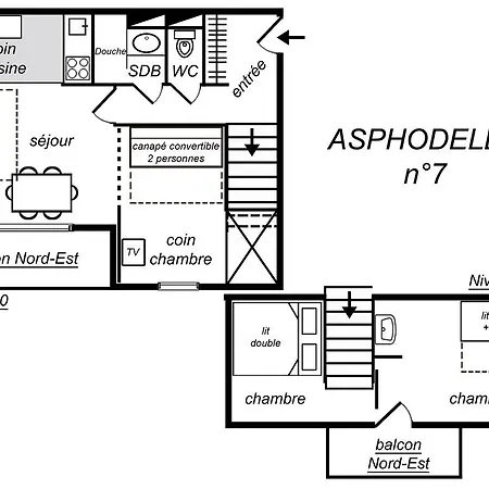 Asphodeles Meribel